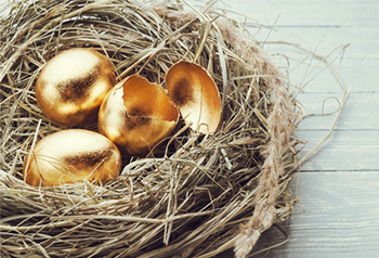 Banner Image of Golden Eggs in a Nest