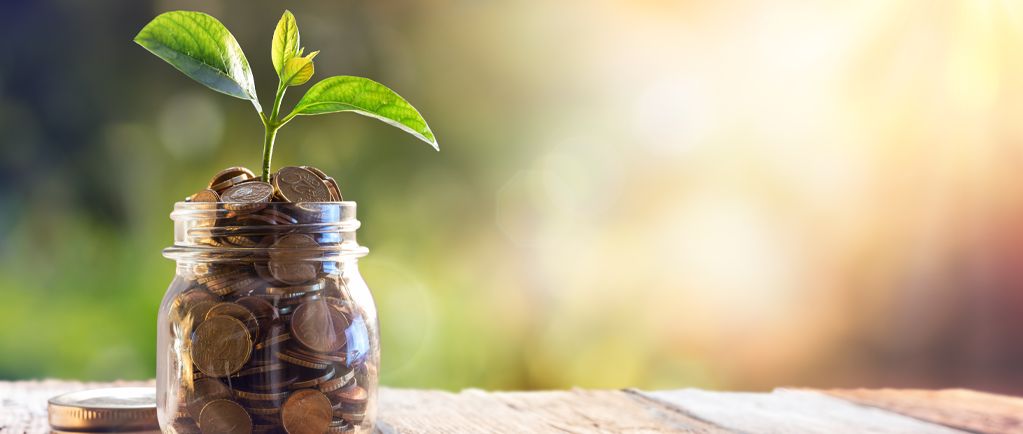 Image of small plant growing from a glass jar containing coins