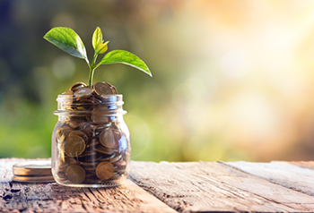 Banner Image of Plant Growing out of Glass Jar Containing Coins
